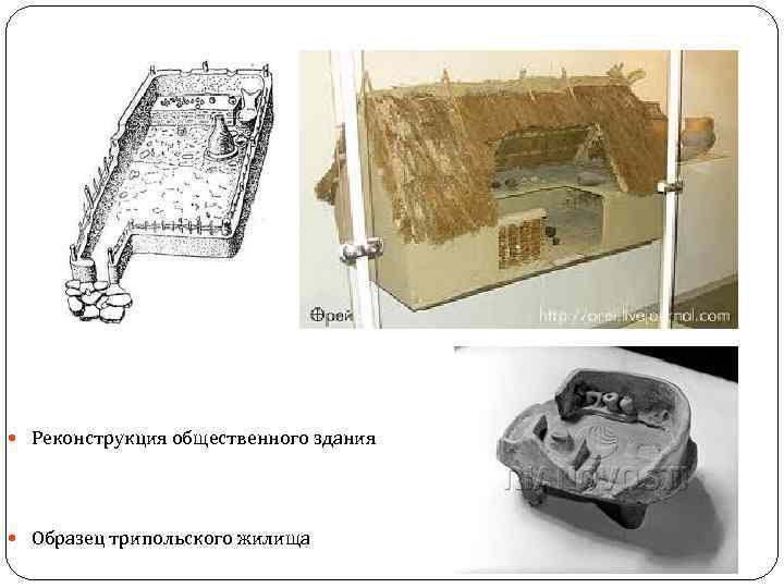  Реконструкция общественного здания Образец трипольского жилища 
