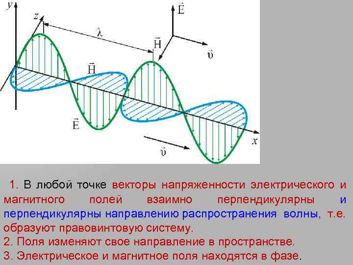  1. В любой точке векторы напряженности электрического и магнитного полей взаимно перпендикулярны и