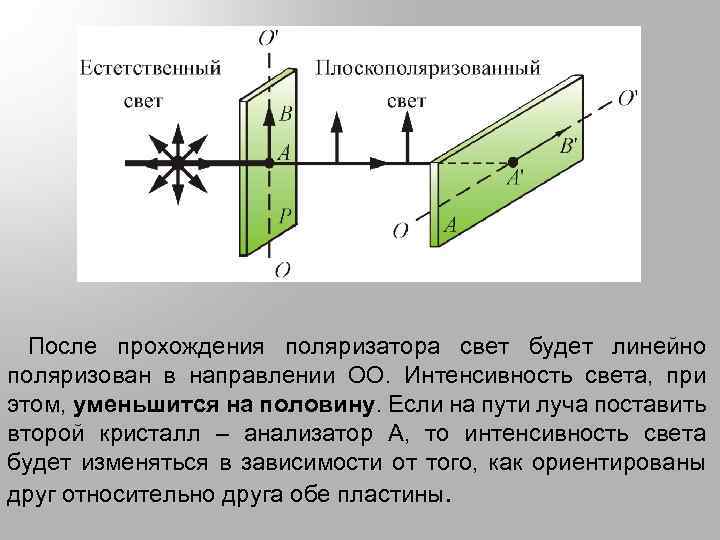  После прохождения поляризатора свет будет линейно поляризован в направлении ОО. Интенсивность света, при