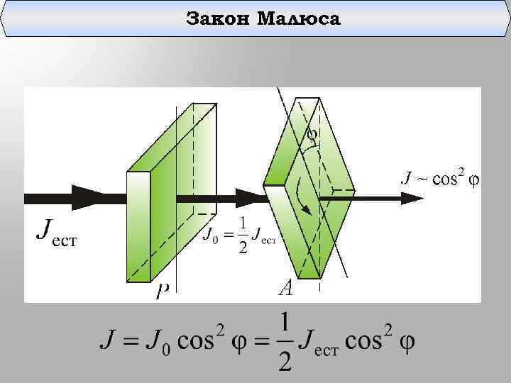 Закон Малюса 