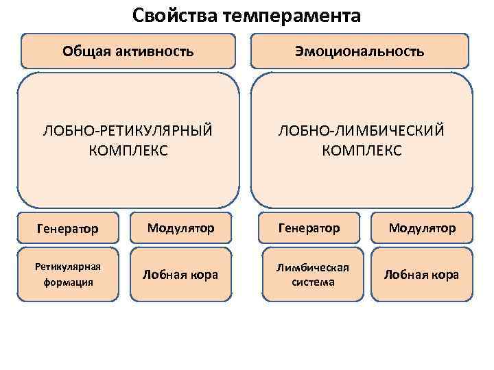 Свойства темперамента Общая активность Эмоциональность ЛОБНО-РЕТИКУЛЯРНЫЙ КОМПЛЕКС ЛОБНО-ЛИМБИЧЕСКИЙ КОМПЛЕКС • . Генератор Модулятор Ретикулярная