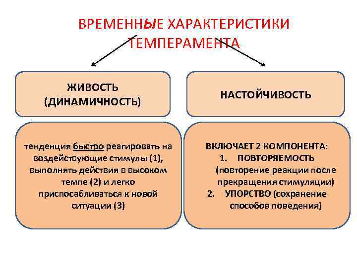 ВРЕМЕННЫЕ ХАРАКТЕРИСТИКИ ТЕМПЕРАМЕНТА • . ЖИВОСТЬ (ДИНАМИЧНОСТЬ) тенденция быстро реагировать на воздействующие стимулы (1),