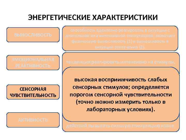 ЭНЕРГЕТИЧЕСКИЕ ХАРАКТЕРИСТИКИ • . способность адекватно реагировать в ситуации с длительной или интенсивной стимуляцией;