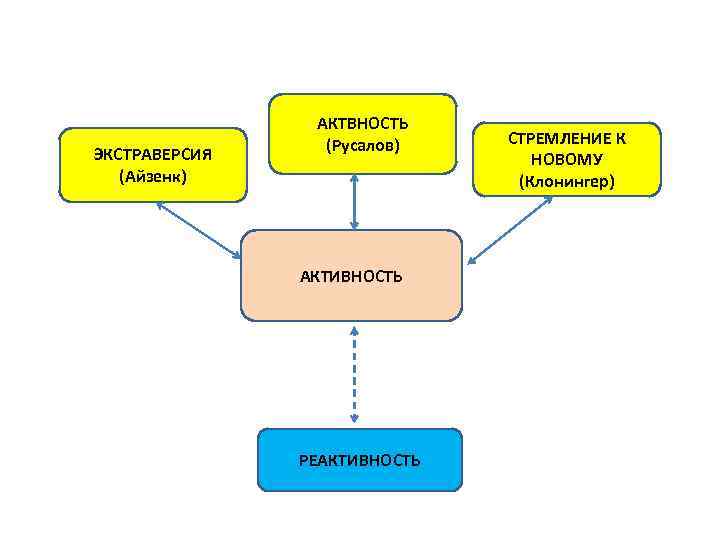 . ЭКСТРАВЕРСИЯ (Айзенк) АКТВНОСТЬ (Русалов) АКТИВНОСТЬ РЕАКТИВНОСТЬ СТРЕМЛЕНИЕ К НОВОМУ (Клонингер) 