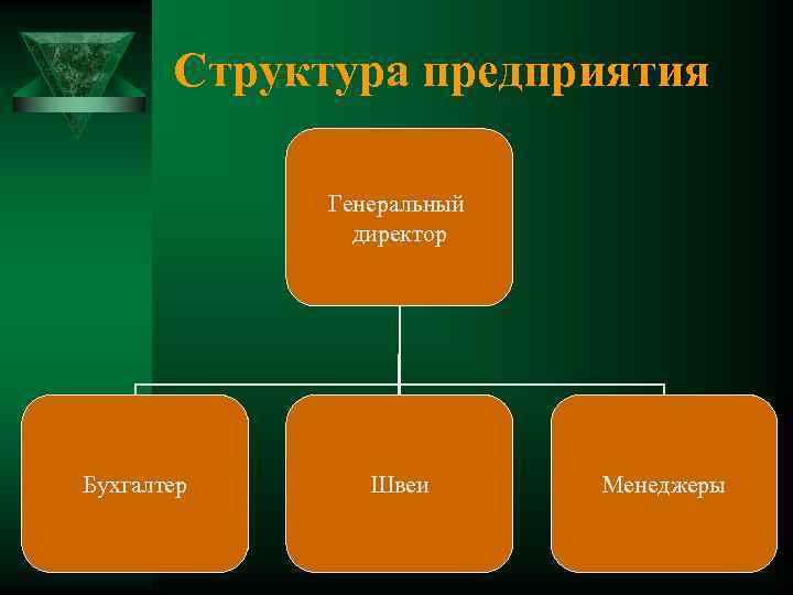 Структура предприятия Генеральный директор Бухгалтер Швеи Менеджеры 