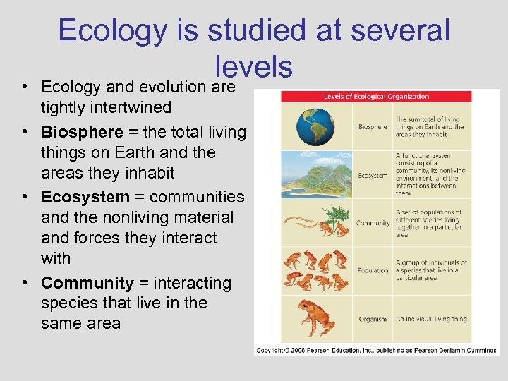  • Ecology is studied at several levels Ecology and evolution are tightly intertwined