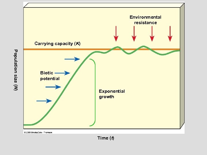 Figure 9 -4 Page 166 Environmental resistance Carrying capacity (K) Population size (N) Biotic