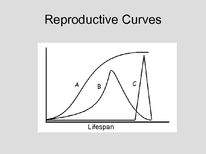 Reproductive Curves Lifespan 