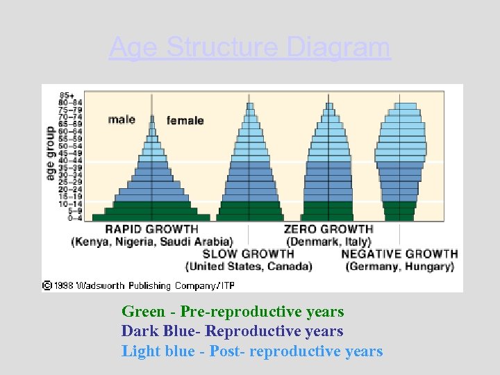 Age Structure Diagram Green - Pre-reproductive years Dark Blue- Reproductive years Light blue -