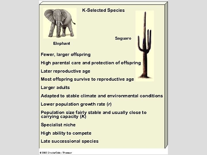 K-Selected Species Saguaro Elephant Fewer, larger offspring High parental care and protection of offspring