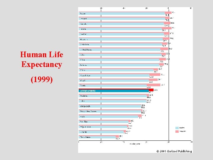 Human Life Expectancy (1999) 