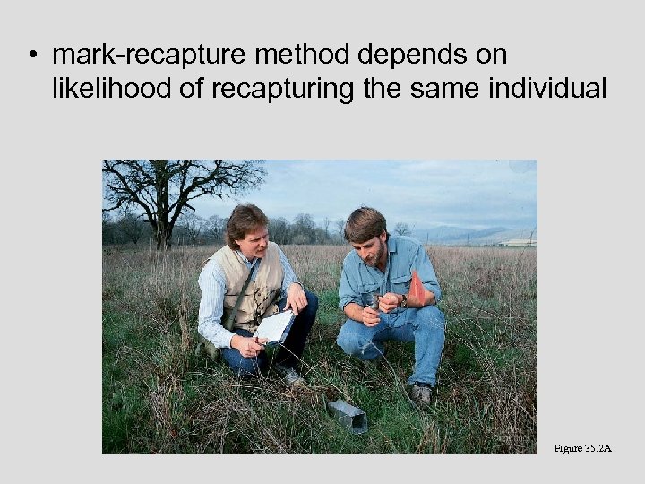  • mark-recapture method depends on likelihood of recapturing the same individual Figure 35.