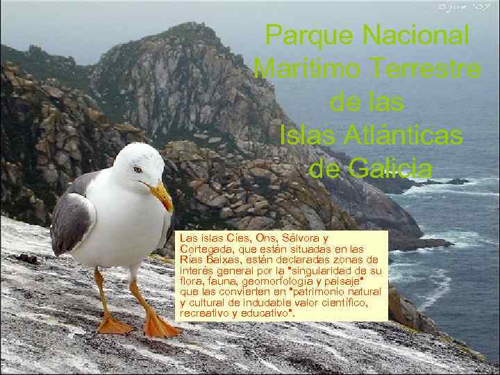 Parque Nacional Marítimo Terrestre de las Islas Atlánticas de Galicia Las islas Cíes, Ons,