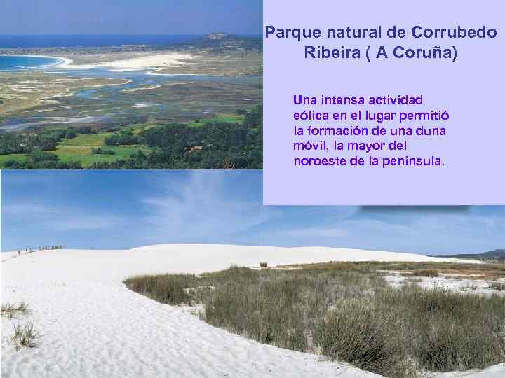 Parque natural de Corrubedo Ribeira ( A Coruña) Una intensa actividad eólica en el