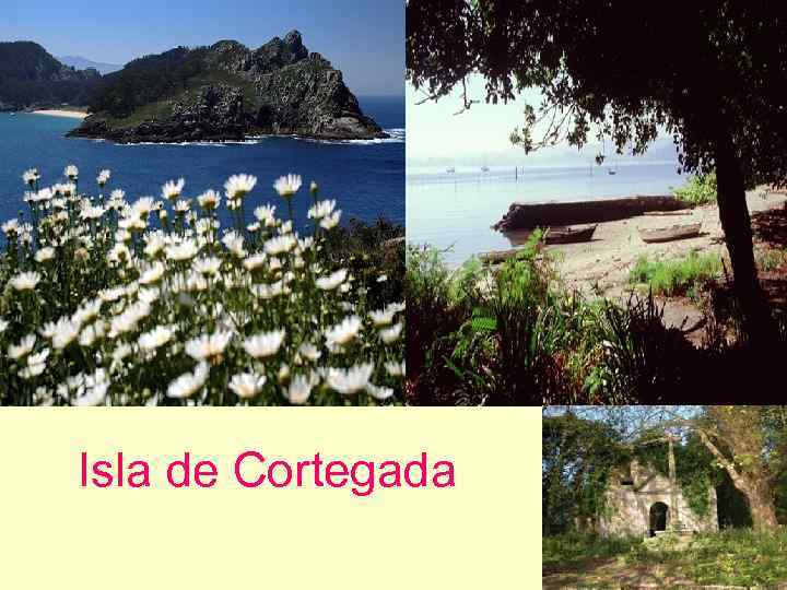 Isla de Cortegada 