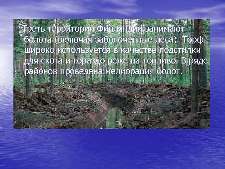 Треть территории Финляндии занимают болота (включая заболоченные леса). Торф широко используется в качестве подстилки