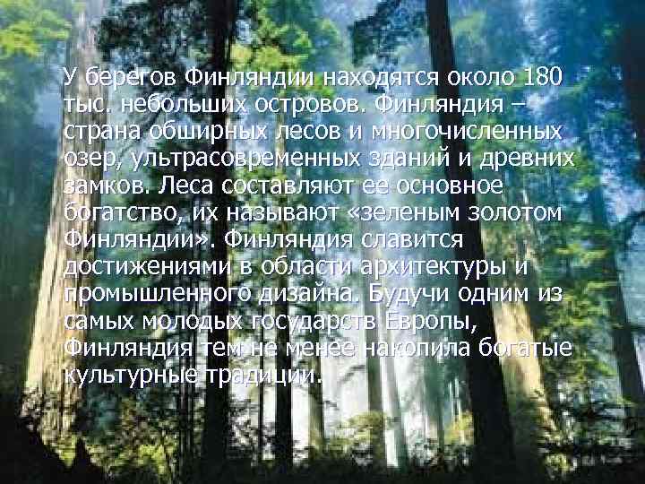 У берегов Финляндии находятся около 180 тыс. небольших островов. Финляндия – страна обширных лесов