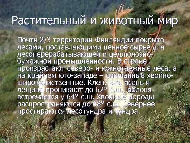 Растительный и животный мир Почти 2/3 территории Финляндии покрыто лесами, поставляющими ценное сырье для