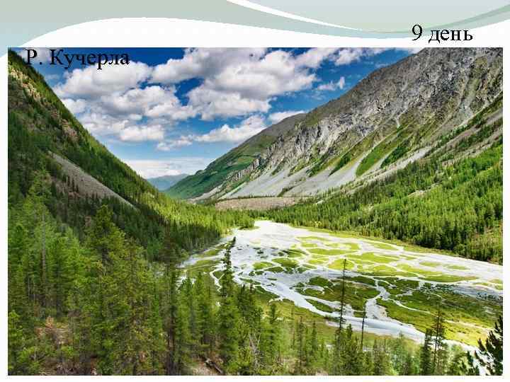 Р. Кучерла 9 день 