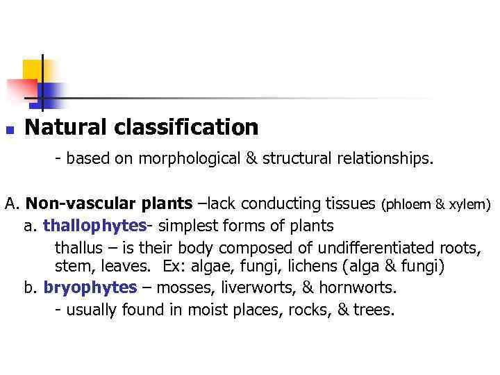 n Natural classification - based on morphological & structural relationships. A. Non-vascular plants –lack