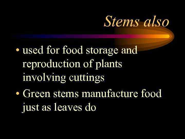 Stems also • used for food storage and reproduction of plants involving cuttings •