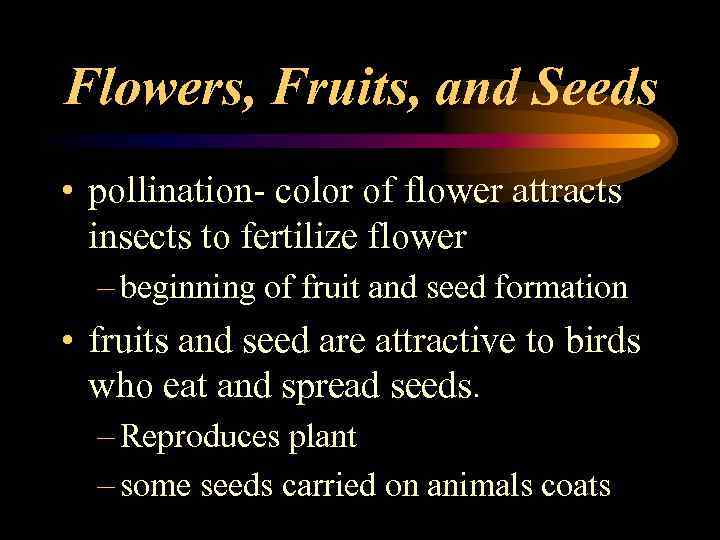 Flowers, Fruits, and Seeds • pollination- color of flower attracts insects to fertilize flower