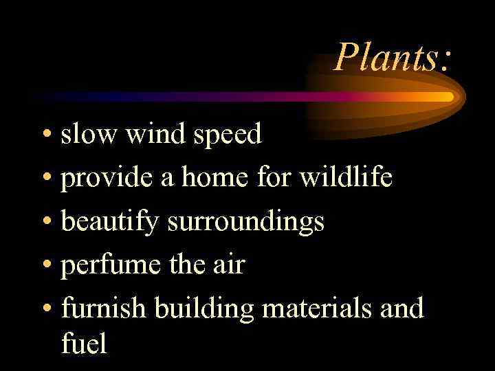 Plants: • slow wind speed • provide a home for wildlife • beautify surroundings