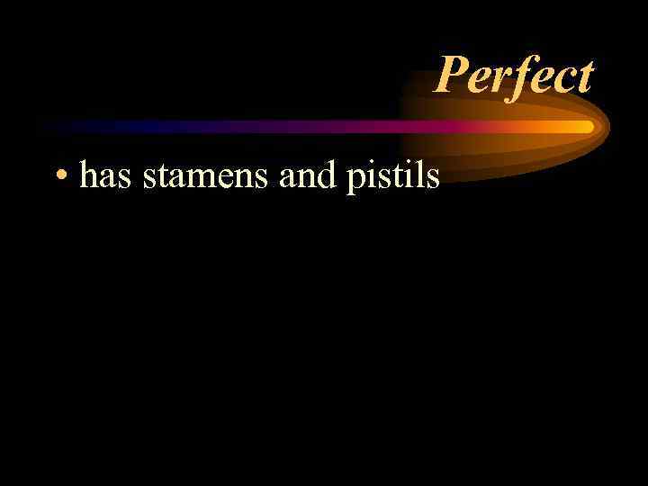 Perfect • has stamens and pistils 