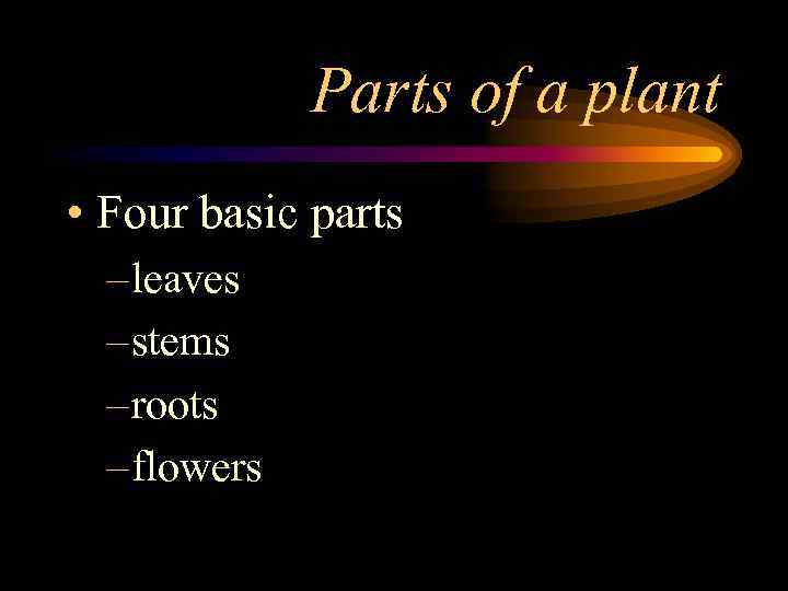 Parts of a plant • Four basic parts – leaves – stems – roots