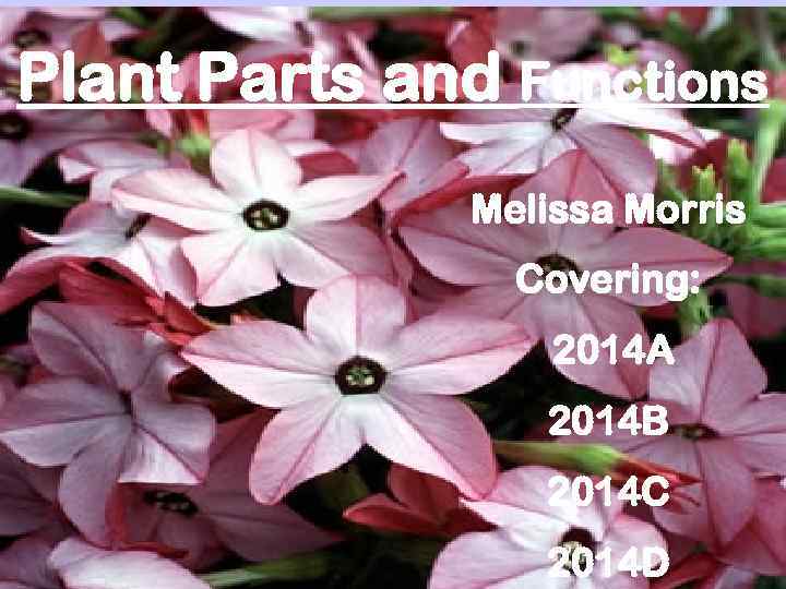 Plant Parts and Functions Melissa Morris Covering: 2014 A 2014 B 2014 C 2014