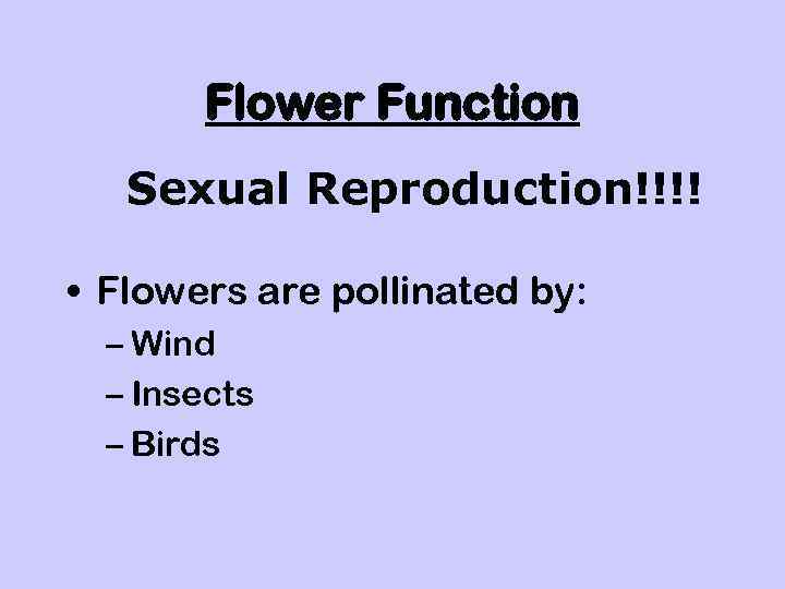 Flower Function Sexual Reproduction!!!! • Flowers are pollinated by: – Wind – Insects –