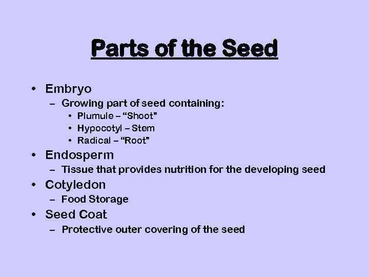 Parts of the Seed • Embryo – Growing part of seed containing: • Plumule