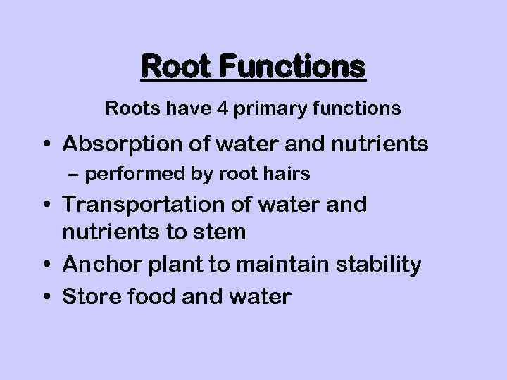 Root Functions Roots have 4 primary functions • Absorption of water and nutrients –