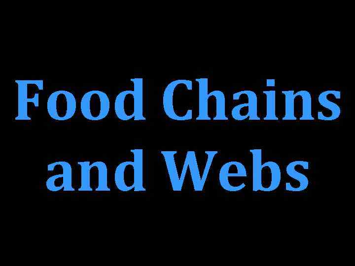 Food Chains and Webs 