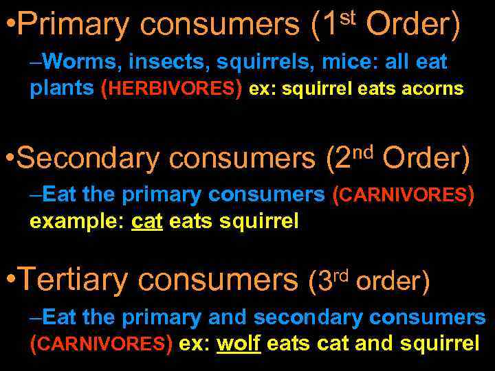  • Primary consumers st (1 Order) –Worms, insects, squirrels, mice: all eat plants