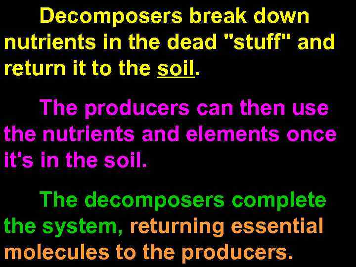 Decomposers break down nutrients in the dead "stuff" and return it to the soil.