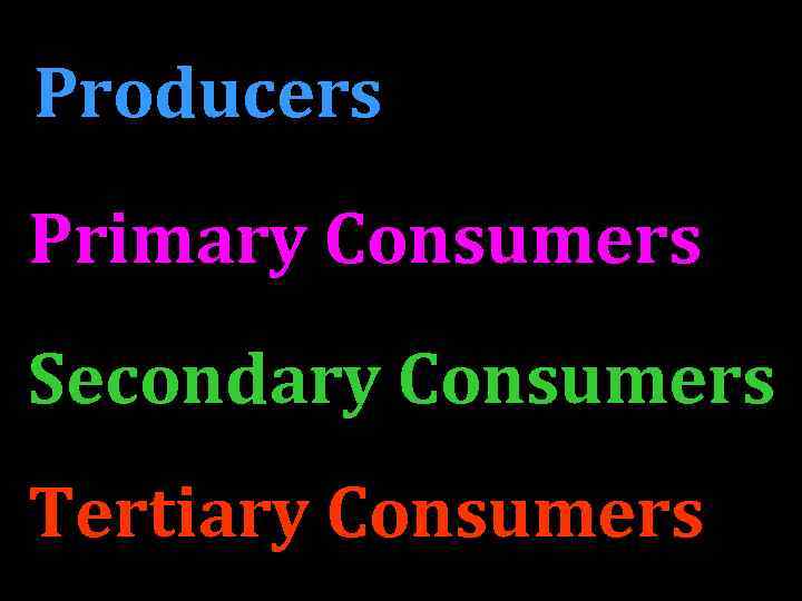 Producers Primary Consumers Secondary Consumers Tertiary Consumers 