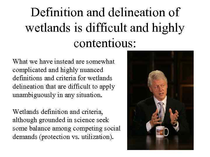 Definition and delineation of wetlands is difficult and highly contentious: What we have instead