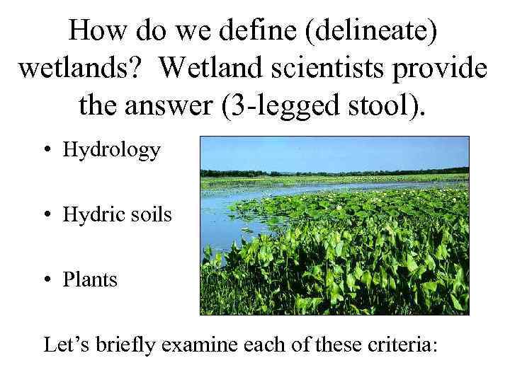 How do we define (delineate) wetlands? Wetland scientists provide the answer (3 -legged stool).