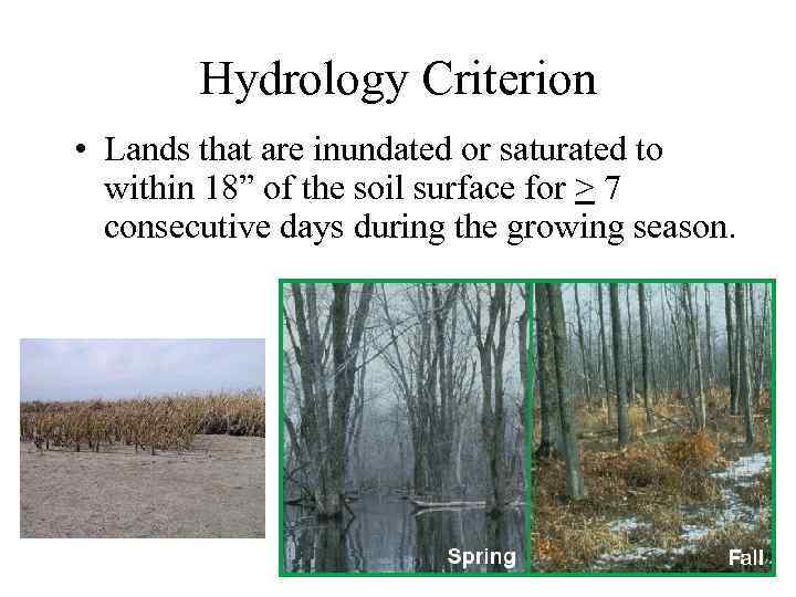 Hydrology Criterion • Lands that are inundated or saturated to within 18” of the