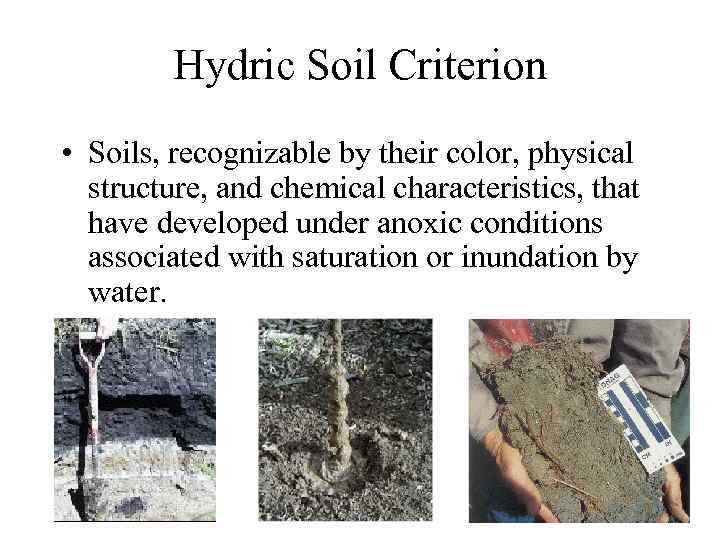 Hydric Soil Criterion • Soils, recognizable by their color, physical structure, and chemical characteristics,