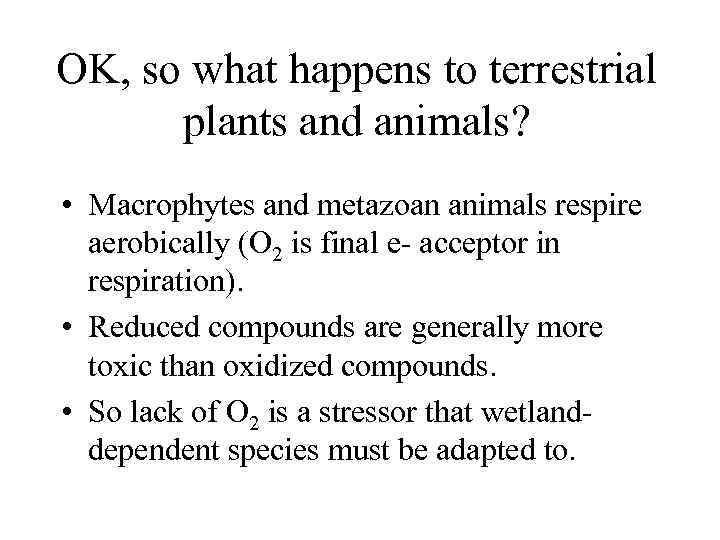 OK, so what happens to terrestrial plants and animals? • Macrophytes and metazoan animals