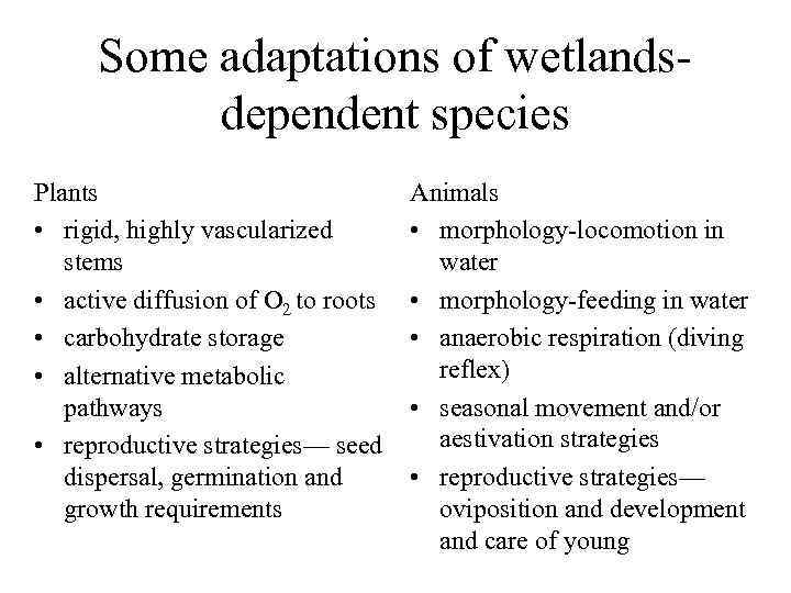 Some adaptations of wetlandsdependent species Plants • rigid, highly vascularized stems • active diffusion