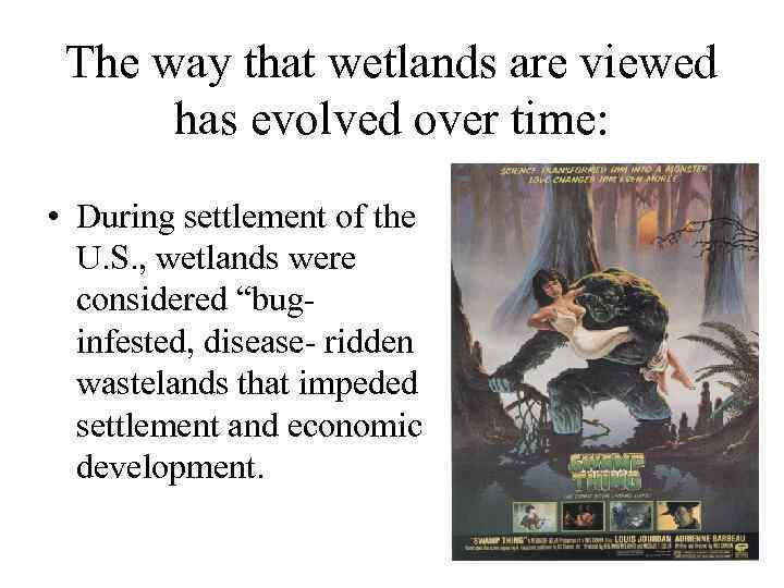 The way that wetlands are viewed has evolved over time: • During settlement of