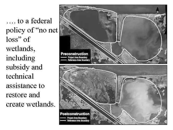 …. to a federal policy of “no net loss” of wetlands, including subsidy and