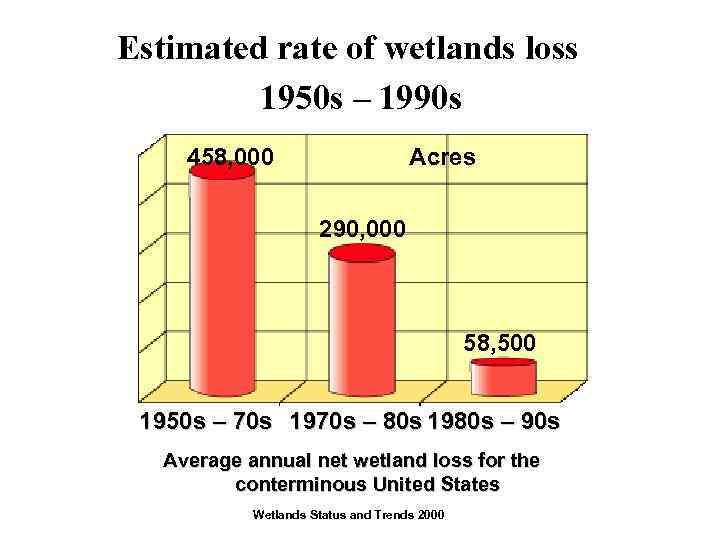 Estimated rate of wetlands loss 1950 s – 1990 s 458, 000 Acres 290,