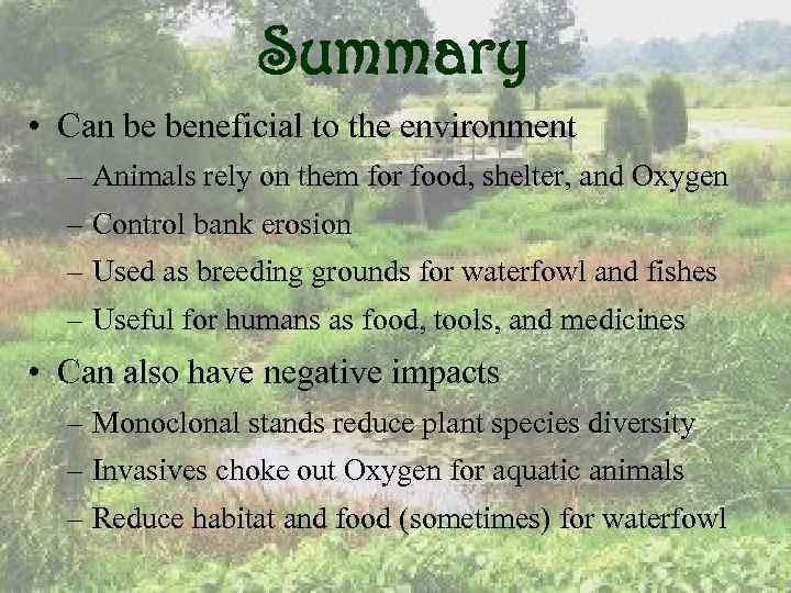 Summary • Can be beneficial to the environment – Animals rely on them for