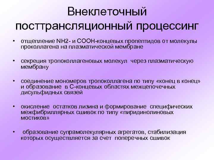 Внеклеточный посттрансляционный процессинг • отщепление NH 2 - и COOH-концевых пропептидов от молекулы проколлагена