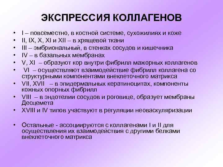 ЭКСПРЕССИЯ КОЛЛАГЕНОВ • • • I – повсеместно, в костной системе, сухожилиях и коже