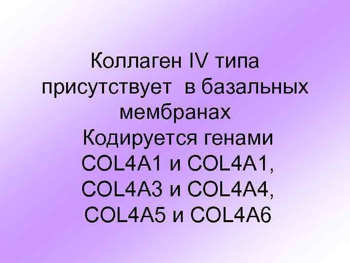 Коллаген IV типа присутствует в базальных мембранах Кодируется генами COL 4 A 1, COL